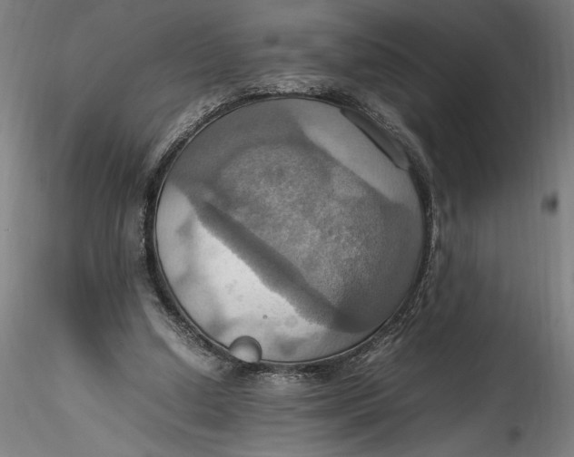 X0000115560250200911271503