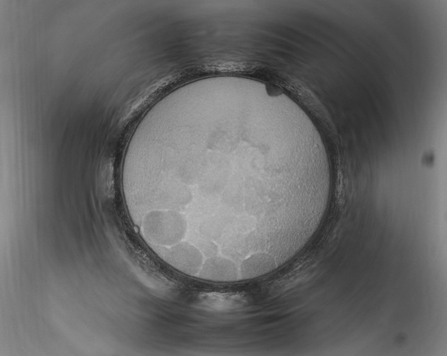 X0000115560251200911271503