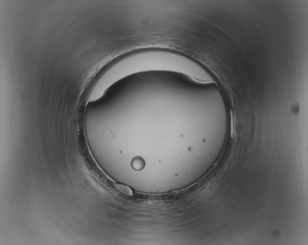 X0000115560252200911271503