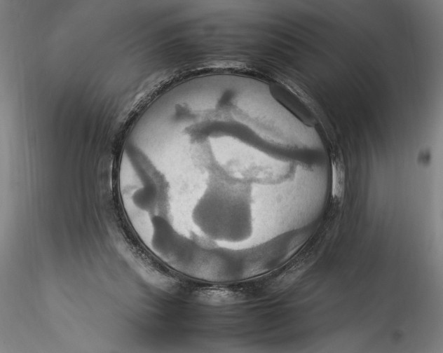 X0000115560253200911271503