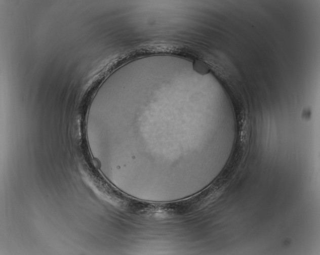 X0000115560254200911271503