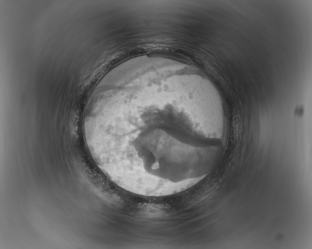 X0000115560255200911271503