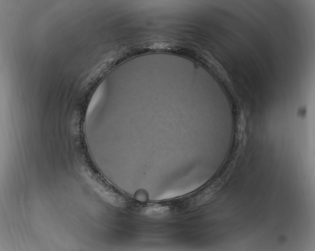 X0000115560257200911271503