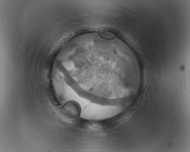 X0000115560258200911271503