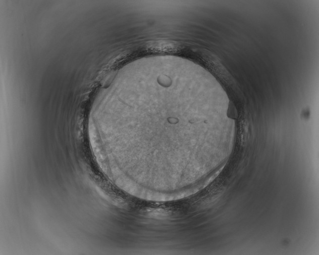 X0000115560259200911271503