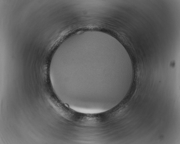 X0000115560260200911271503