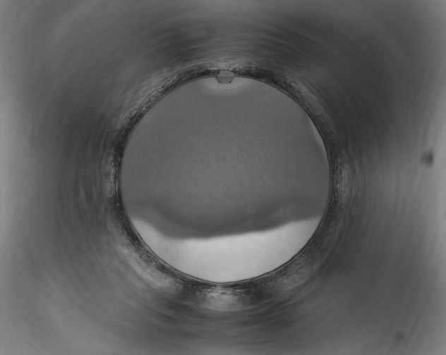 X0000115560261200911271503