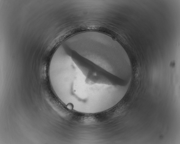 X0000115560262200911271503