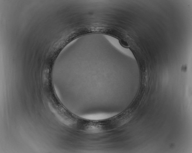 X0000115560263200911271503