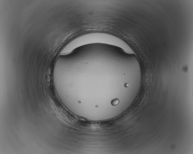 X0000115560264200911271503