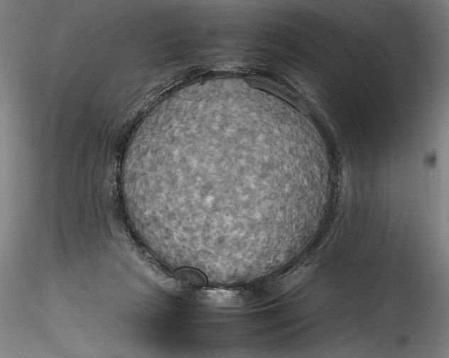 X0000115560265200911271503