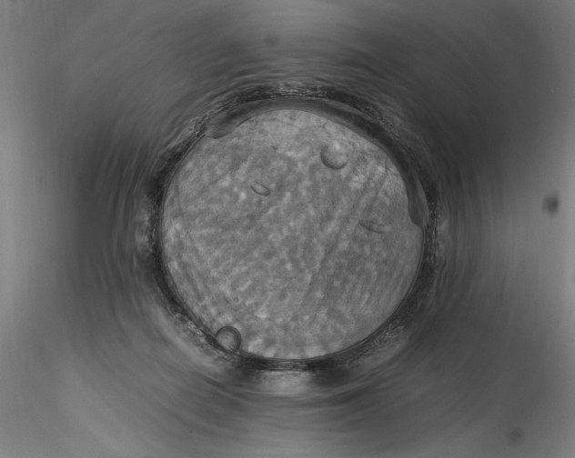 X0000115560266200911271503