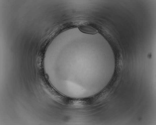 X0000115560268200911271503