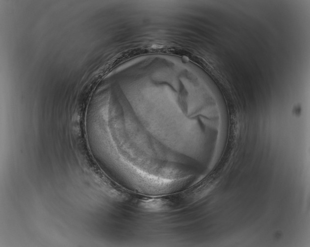 X0000115560269200911271503