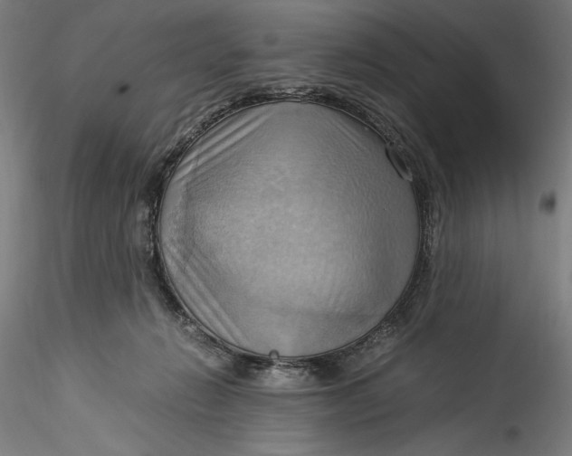 X0000115560270200911271503