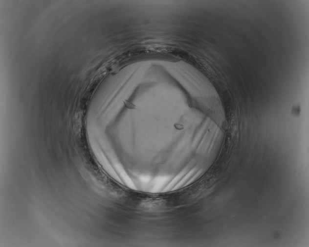 X0000115560271200911271504