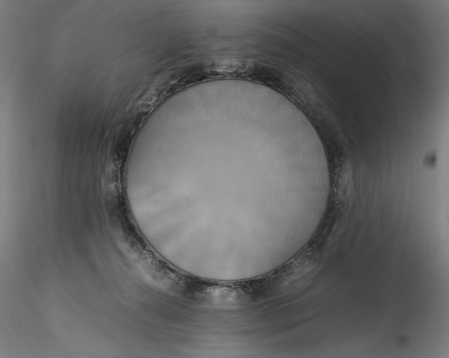 X0000115560272200911271504