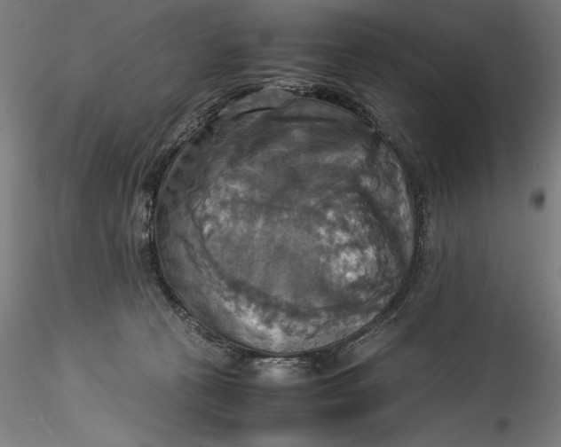 X0000115560273200911271504