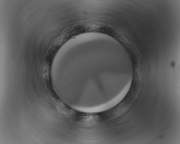 X0000115560274200911271504