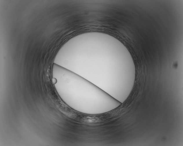 X0000115560275200911271504