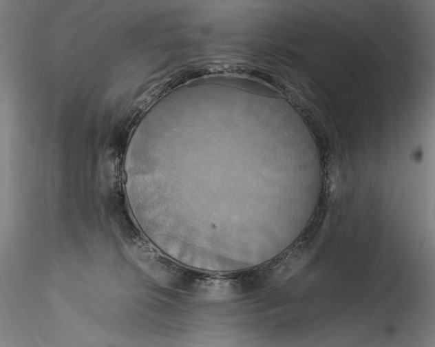 X0000115560276200911271504