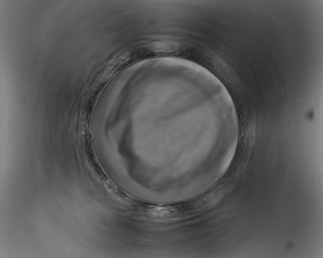 X0000115560277200911271504