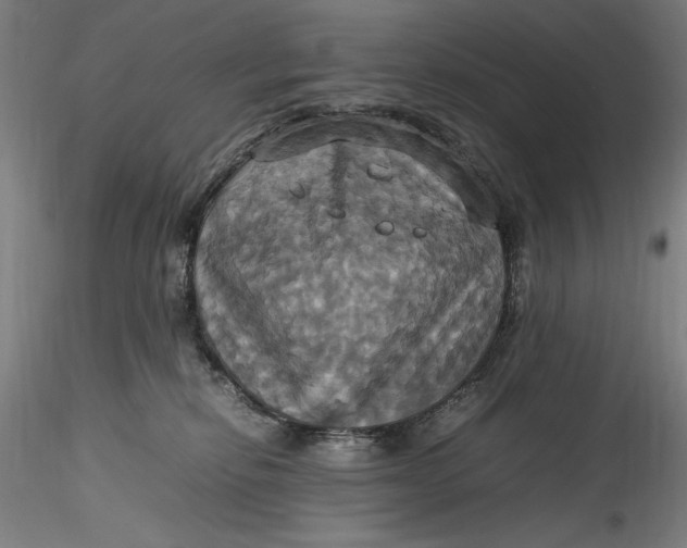 X0000115560278200911271504