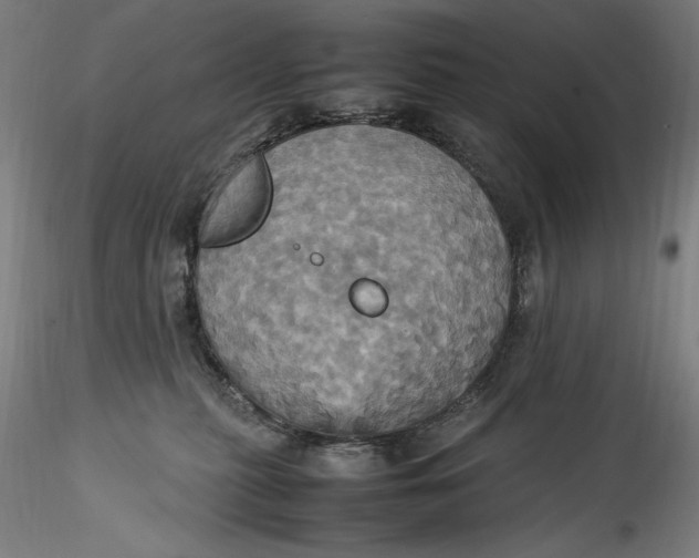 X0000115560279200911271504