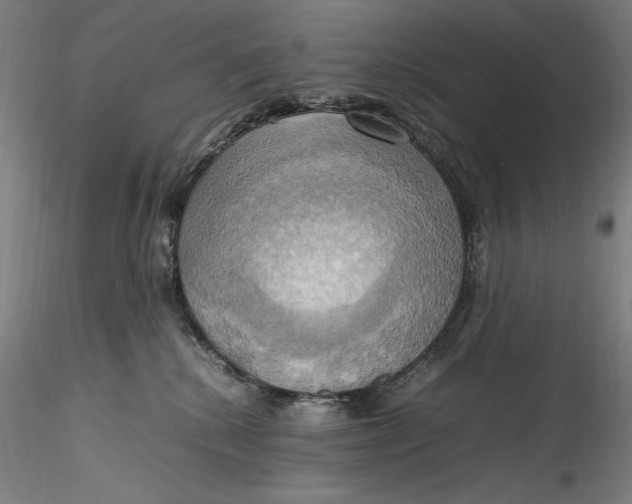 X0000115560280200911271504