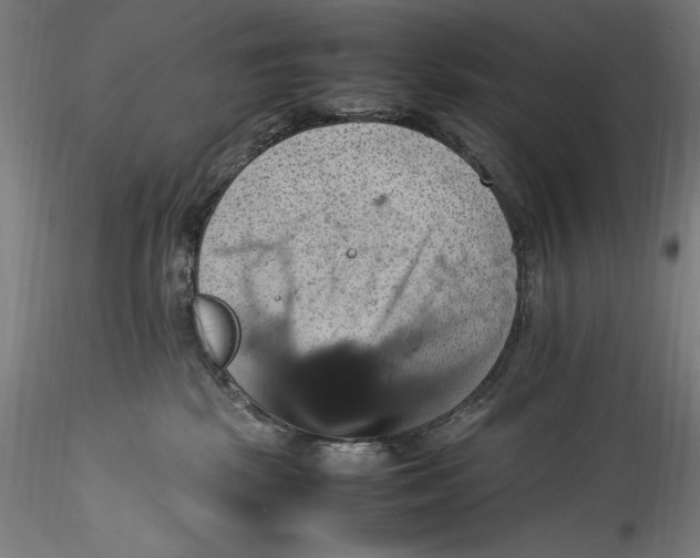 X0000115560281200911271504