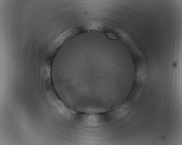 X0000115560282200911271504