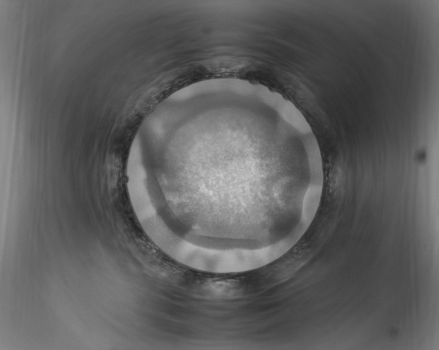 X0000115560283200911271504