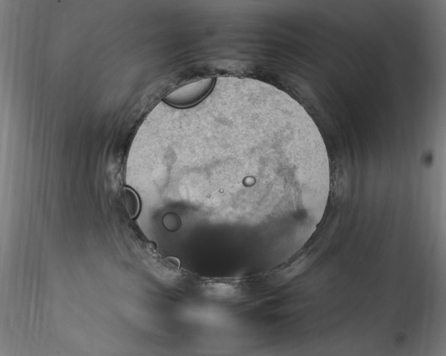 X0000115560285200911271504