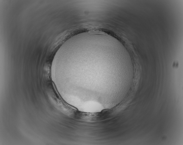 X0000115560288200911271504