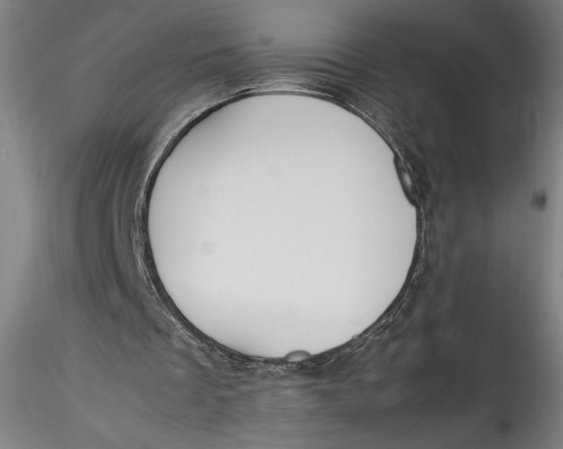 X0000115560289200911271503