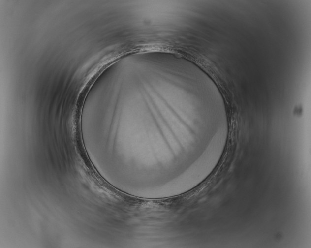 X0000115560290200911271503