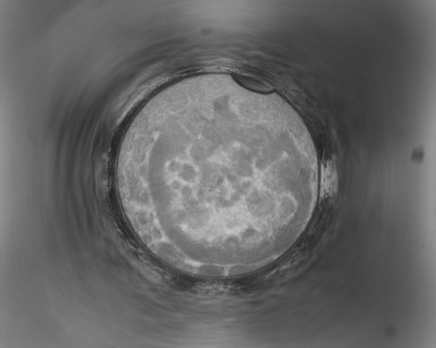 X0000115560291200911271503