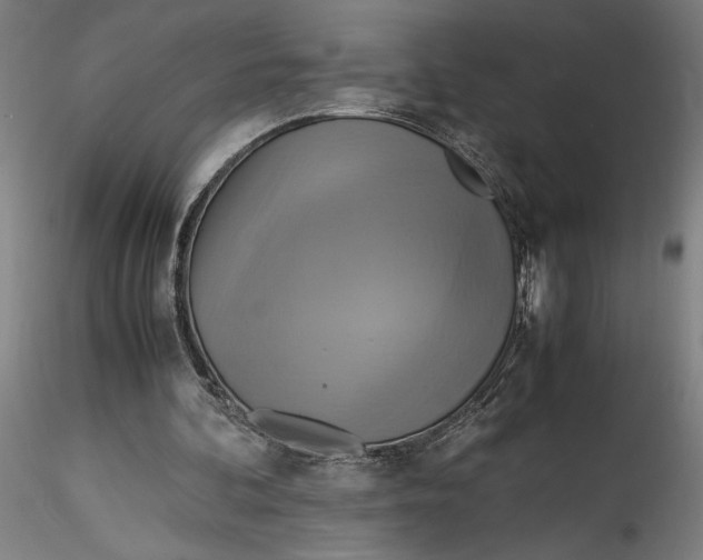 X0000115560292200911271503