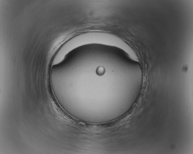 X0000115560293200911271503