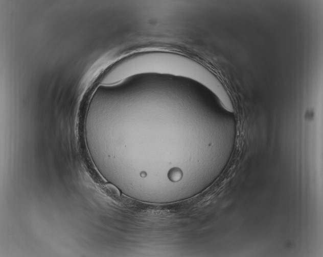 X0000115560296200911271503