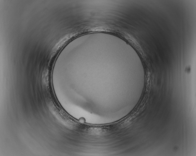 X0000115560298200911271503