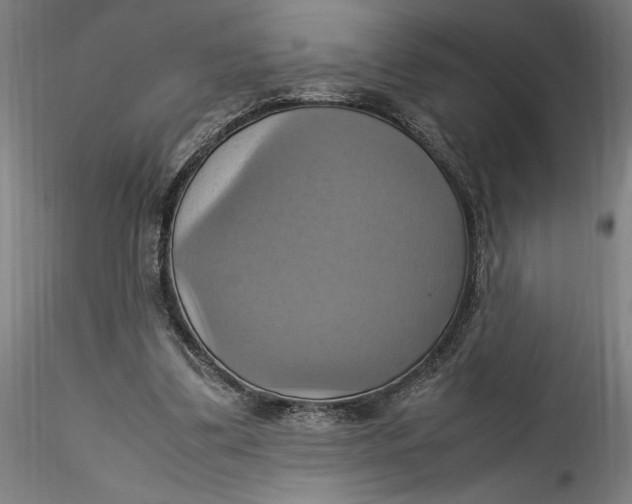 X0000115560299200911271503