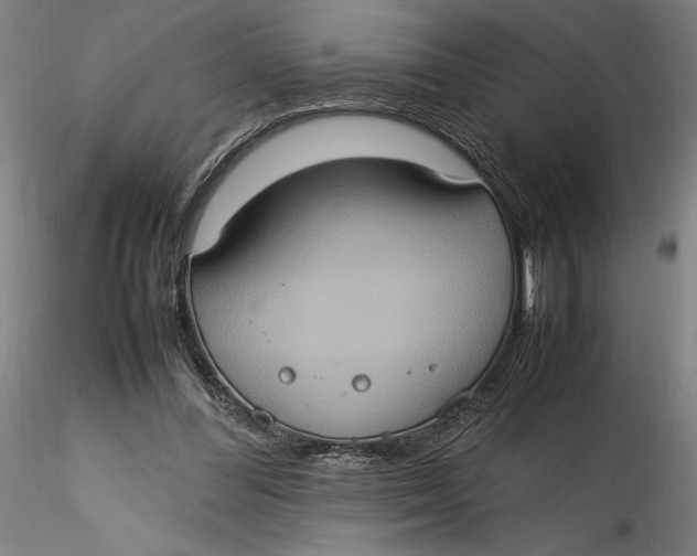 X0000115560300200911271503