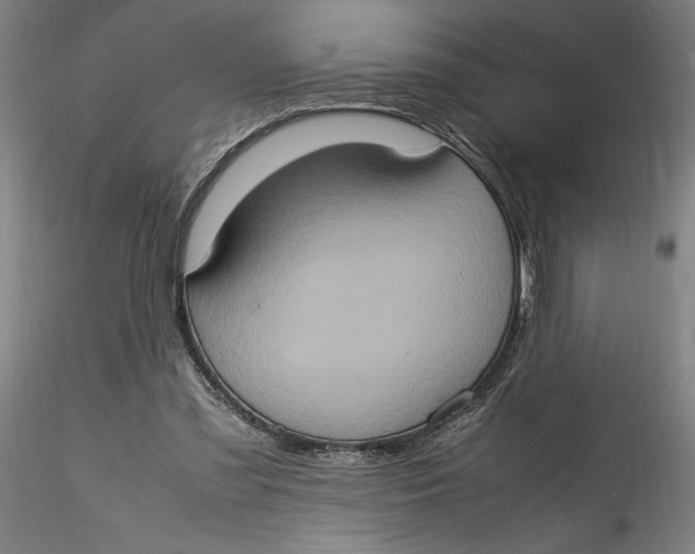 X0000115560301200911271503