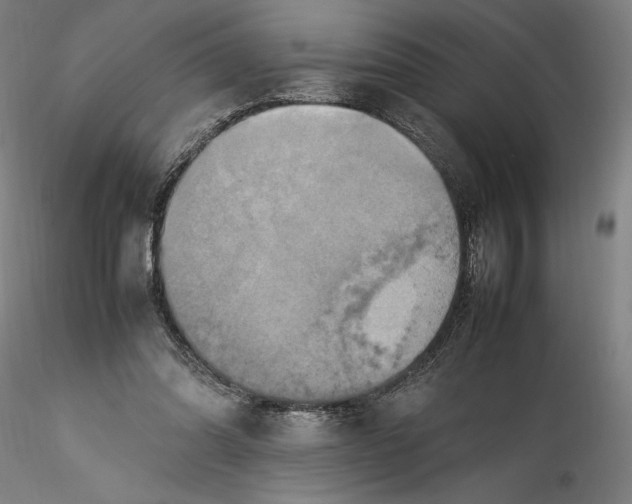 X0000115560302200911271503