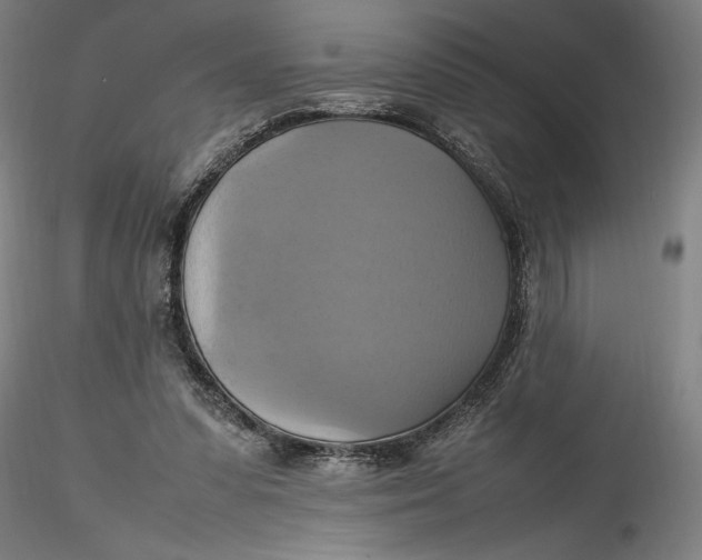 X0000115560303200911271503