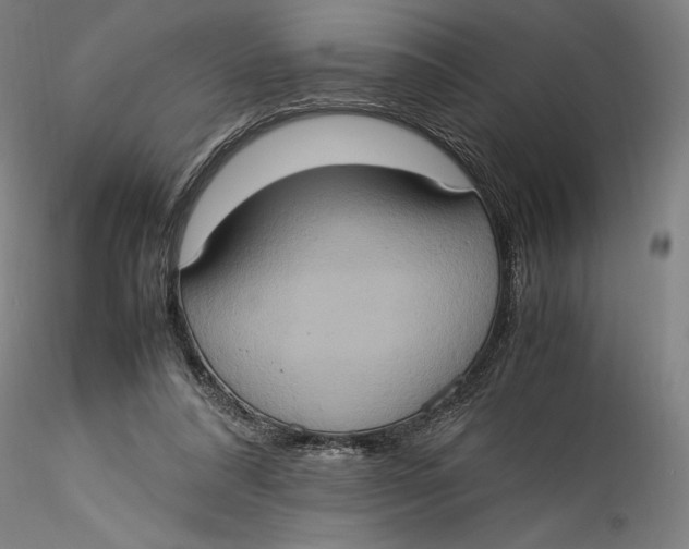 X0000115560304200911271503