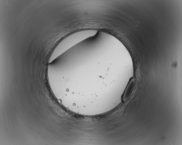 X0000115560305200911271503