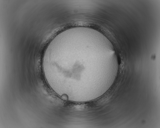 X0000115560306200911271503