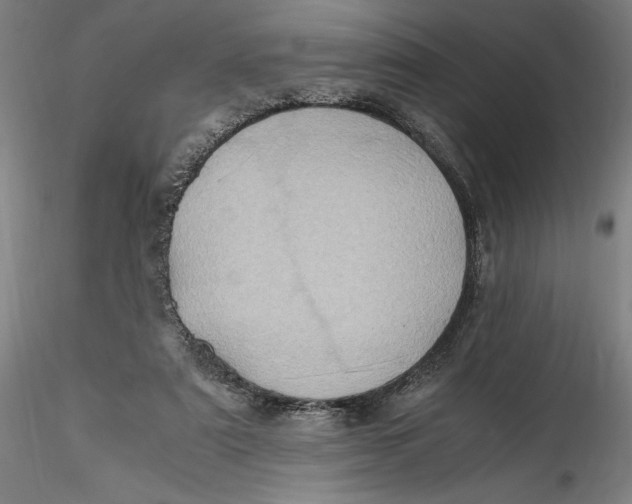 X0000115560307200911271503